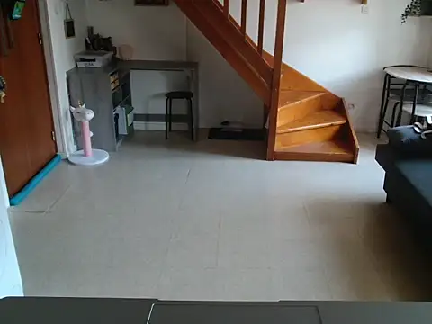 Lauzo21 online show from 29, 4, 2026