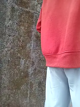 Snapshot of Piyush_2024 chatting on 17, 2, 2026 Piyush 2024 online show from 17, 2, 2026