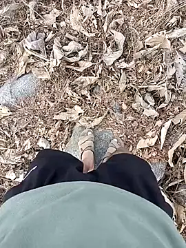 Piyush 2024 online show from 24, 4, 2026