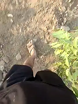 Piyush 2024 online show from 28, 4, 2026