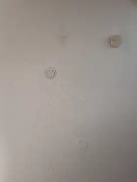 geilerschwanz64 online show from 18, 1, 2025