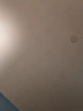 geilerschwanz64 online show from 21, 1, 2025