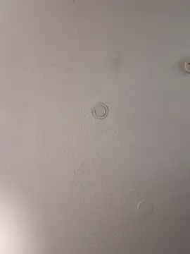 geilerschwanz64 online show from 2, 2, 2025