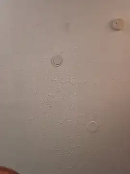 geilerschwanz64 online show from 20, 3, 2025