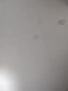 geilerschwanz64 online show from 10, 10, 2025