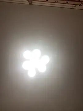 Janet Welder online show from 16, 11, 2025