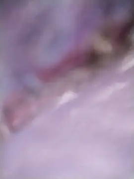 Meri-javani online show from 8, 9, 2025