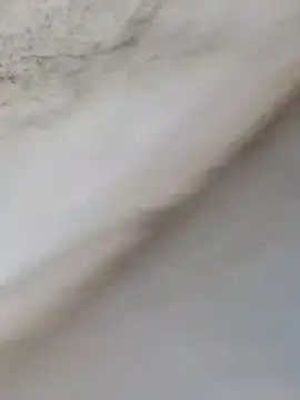 Snapshot of MrNick74 chatting on 22, 12, 2025 MrNick74 online show from 22, 12, 2025