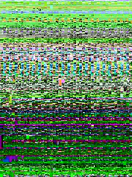 ahross online show from 13, 10, 2025