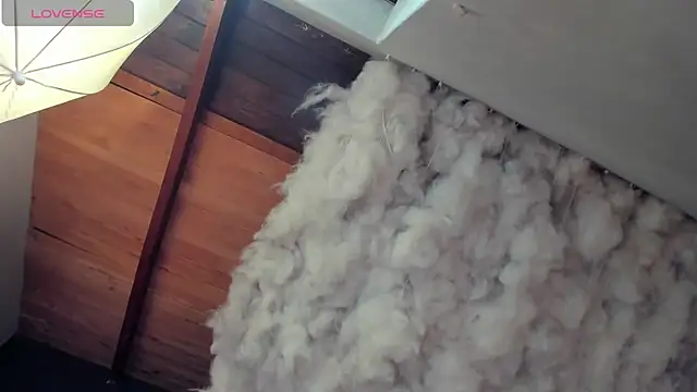 Layla 707 online show from 28, 4, 2026