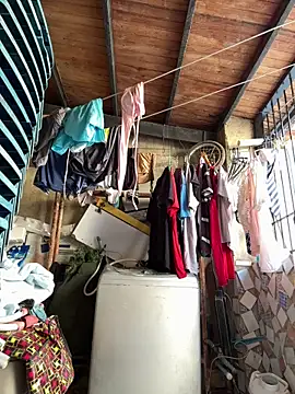 Leo bunny hot online show from 15, 9, 2025