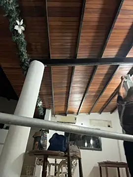 Leo bunny hot online show from 30, 4, 2026