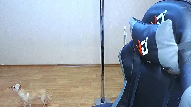 Snapshot of doll_barbieee chatting on 9, 3, 2025 doll barbieee online show from 9, 3, 2025