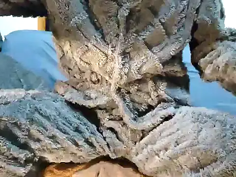 Snapshot of creamlive97 chatting on 30, 12, 2024 creamlive97 online show from 30, 12, 2024