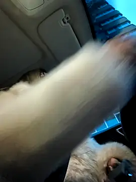 SukyGirl online show from 4, 1, 2025