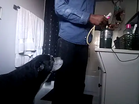 Snapshot of DevinToore chatting on 31, 10, 2025 DevinToore online show from 31, 10, 2025