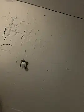 Carolinen online show from 6, 10, 2025