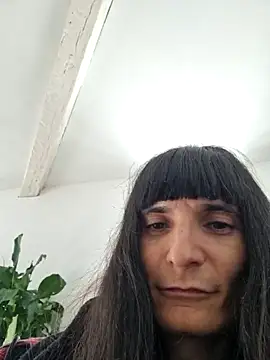 CeriseLapine online show from 24, 4, 2026