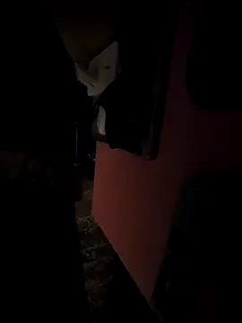 pumapatri online show from 11, 3, 2026