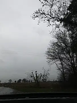 nataliecdlive online show from 22, 11, 2025