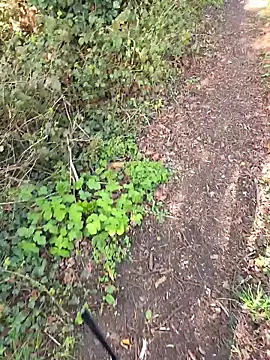 nataliecdlive online show from 14, 3, 2026