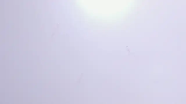 Violet Grace online show from 17, 2, 2025