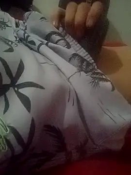 novilho18piroc online show from 10, 3, 2026