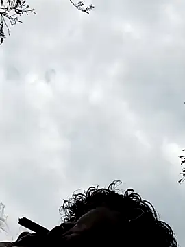 787elith online show from 13, 3, 2025