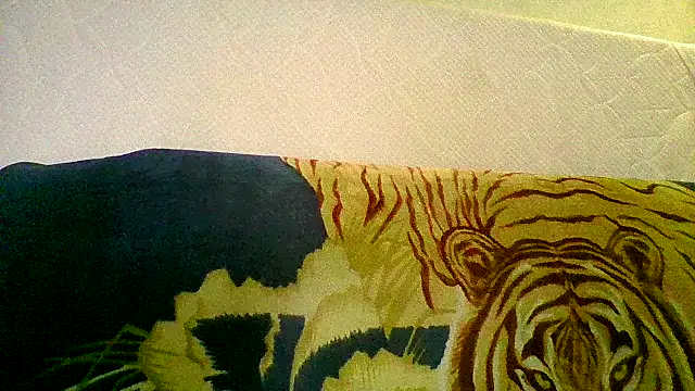 Snapshot of maritanna chatting on 29, 12, 2024 maritanna online show from 29, 12, 2024