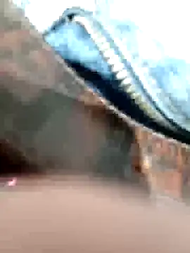 ManuRod1981 online show from 16, 12, 2025