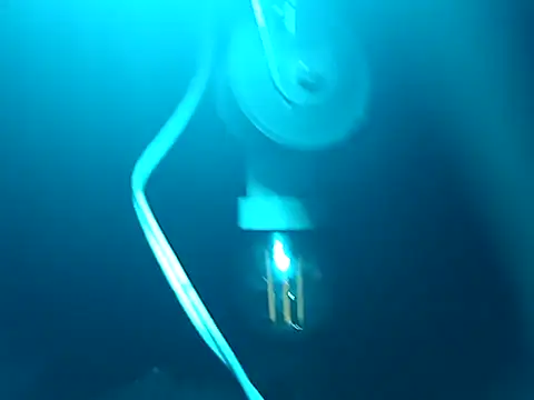 tus ordenes mis deseos online show from 25, 4, 2026