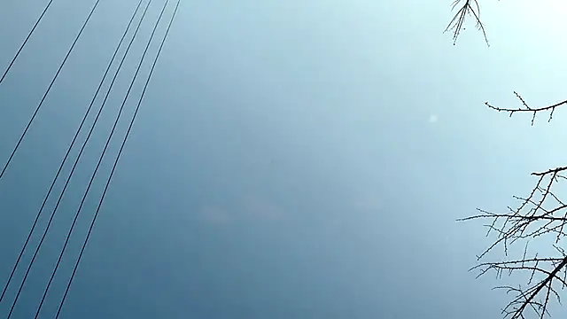 QianF-666 online show from 13, 2, 2025