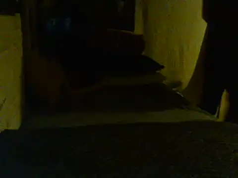 Snapshot of Gman143187 chatting on 2, 2, 2025 Gman143187 online show from 2, 2, 2025