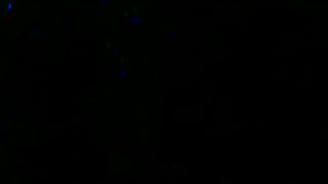 Snapshot of Gman143187 chatting on 13, 3, 2025 Gman143187 online show from 13, 3, 2025