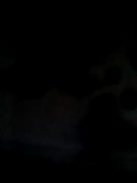 Leocesar37 online show from 21, 6, 2026