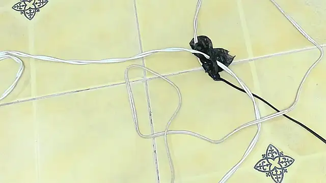 playsgirlhot online show from 12, 3, 2025