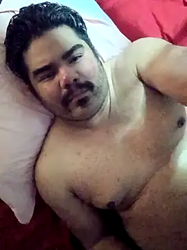 Brickstash online show from 24, 4, 2026