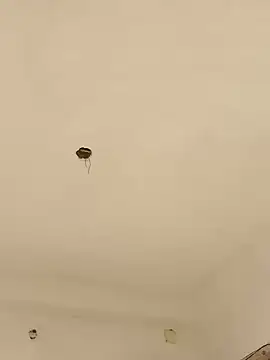 Snapshot of Lexi_Baby_ chatting on 13, 12, 2024 Lexi Baby online show from 13, 12, 2024