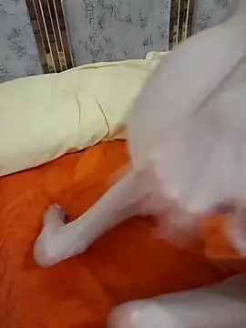 abyusif101099 online show from 25, 2, 2025