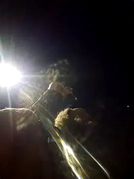 Snapshot of Beyond1978 chatting on 9, 1, 2026 Beyond1978 online show from 9, 1, 2026