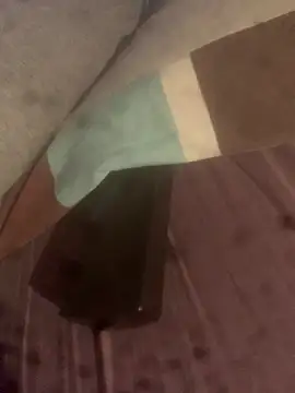 solomec online show from 16, 2, 2026