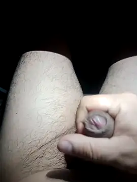 Edipaca online show from 18, 11, 2025