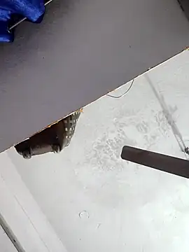 sana14 online show from 17, 12, 2025