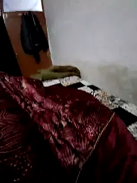 menakshiiikaur online show from 13, 12, 2024