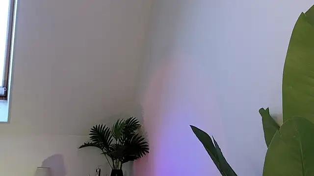 violetviolator online show from 15, 3, 2025