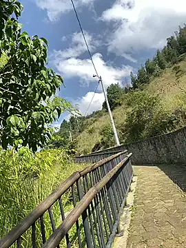 ElNegroRony online show from 9, 12, 2024