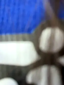 aurora divine online show from 4, 11, 2025