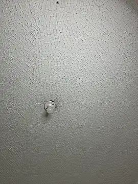 aurora divine online show from 27, 4, 2026