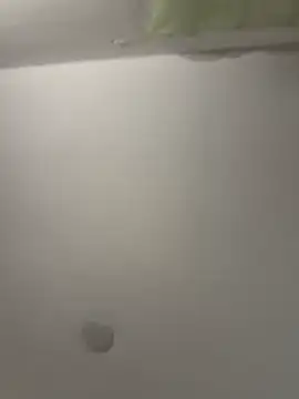 vivicolibri online show from 26, 4, 2026