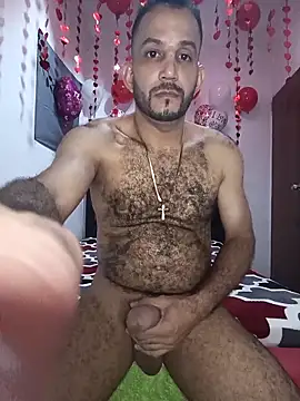 arqui009 online show from 12, 2, 2026